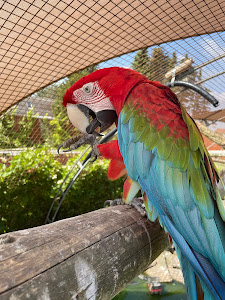 Pangea Park — fotografia 5