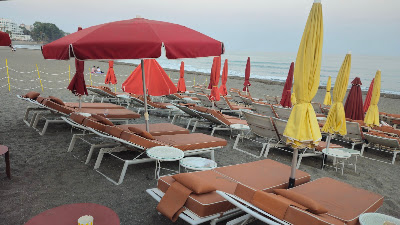Les Tournesols — fotografia 3