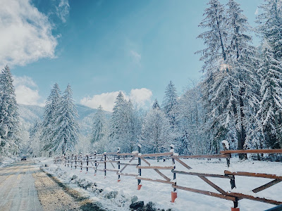 Zona turistică Valea Avrigului