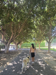 Parque Canino Parque del Oeste — fotografia 3