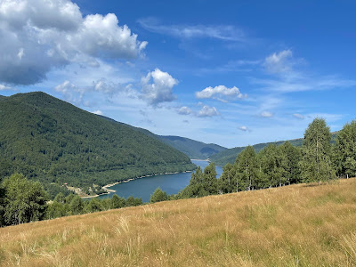 La Mesteceni