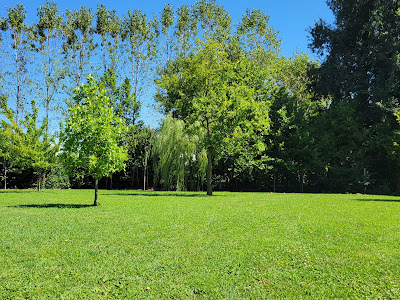 Agricampeggio Pini in Fiore — fotografia 3
