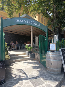 Tilia - a Badacsonyi Borvendéglő — fotografia 3