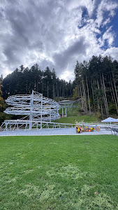 Forest Coaster — fotografia 4