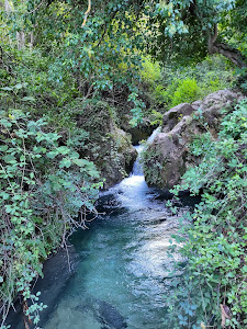 Charco Pataco