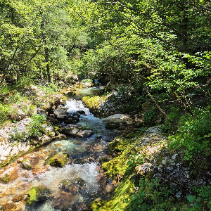 Šunikov vodni gaj — fotografia 5