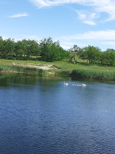Lacul Tanchiștilor