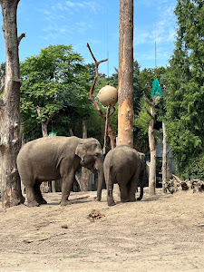 DierenPark Amersfoort — fotografia 3