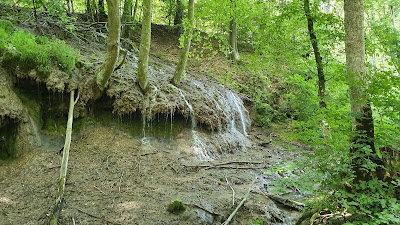 Dračia studňa