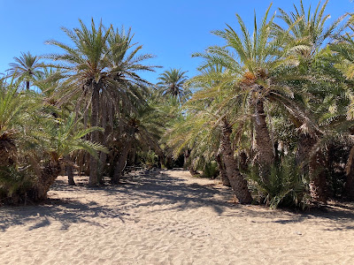 Vai Palm Forest — fotografia 3