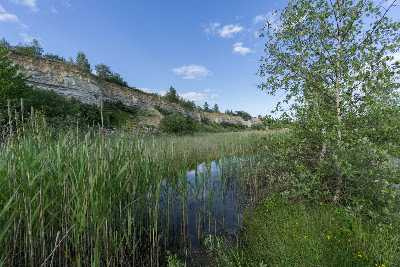Karlstrup Kalkgrav — fotografia 4