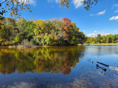 Martonvásári Park Conservation Area — fotografia 5