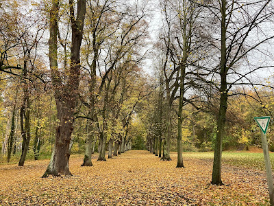 Prinz-Albrecht Park — fotografia 5
