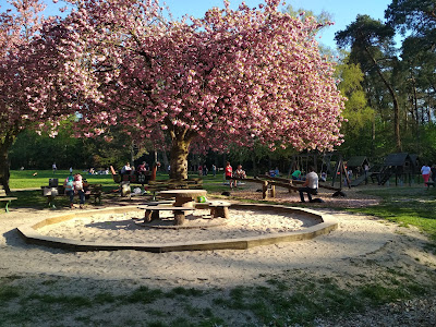 Carl-von-Weinberg-Park