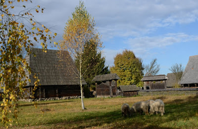 Muzeul Satului Maramureșean