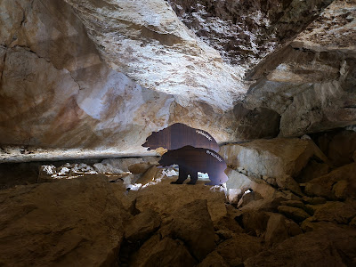 Dachstein Giant Ice Cave — fotografia 5
