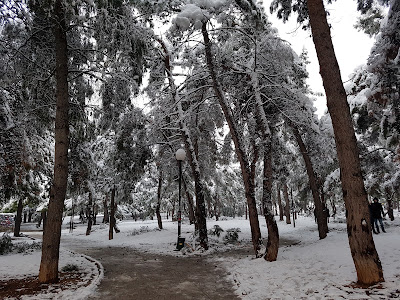 Kaisariani Shooting Range Park — fotografia 4
