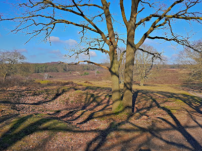 Wandelroute Mookerheide — fotografia 4
