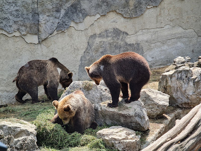 Národná zoologická záhrada Bojnice — fotografia 4