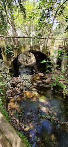 Neraida Waterfall — fotografia 5