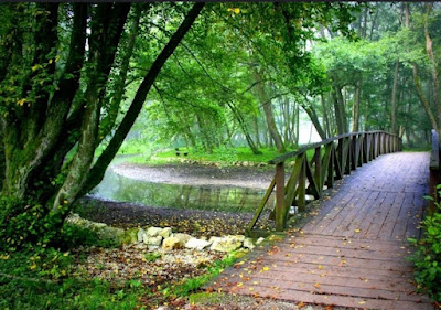 Vrelo Bosne — fotografia 3