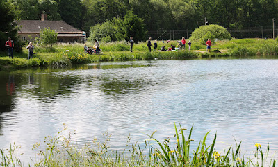 Angelteich Niemegk-Werdermühle