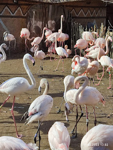 Zoological Garden in Jihlava — fotografia 4