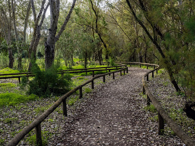 Guadiamar Green Corridor — fotografia 5