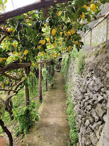 Path of the Lemons — fotografia 4