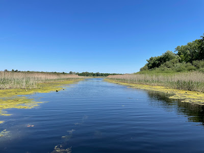 "Obedska bara" Nature Preserve