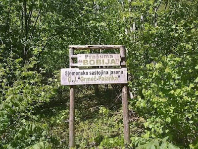 Bobijaško oko