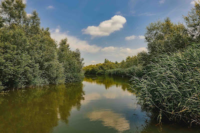 Nationaal Park De Biesbosch
