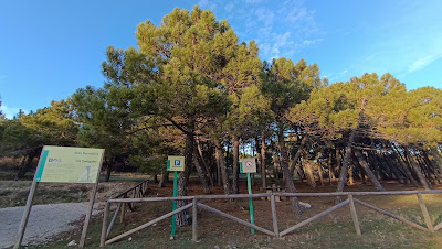 Área Recreativa Quejigales — fotografia 3
