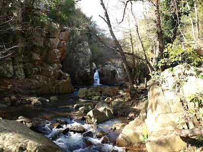 Sendero Rio De La Miel — fotografia 3