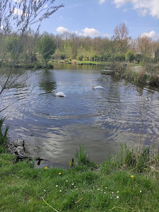 Toms Creek — fotografia 4