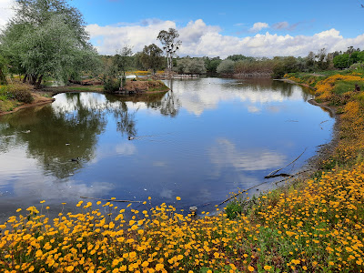 Cañada de los Pájaros — fotografia 5