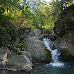 Poiana Zanelor — fotografia 3