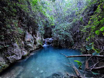 Charco Pataco — fotografia 3