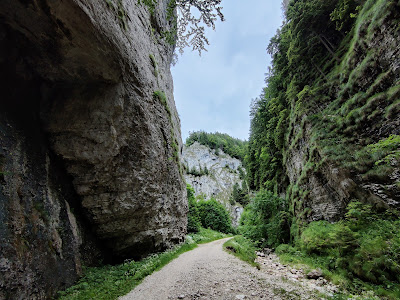 Parcul Naţional "Piatra Craiului" — fotografia 3