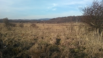 Górka Pychowicka — fotografia 3