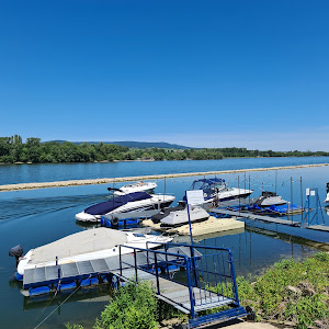 Wohnmobilpark Bingen — fotografia 5