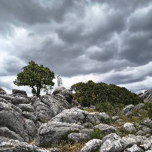 Parque Nacional Sierra de las Nieves — fotografia 5