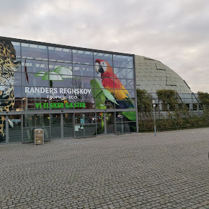Randers Regnskov — fotografia 3