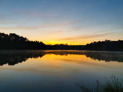 Łowisko Kłodzionko - sportowe łowisko wędkarskie - wędkowanie i noclegi - Kaszuby, Pomorskie — fotografia 5