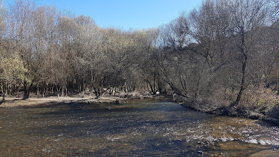 Merendero El Pardo — fotografia 4