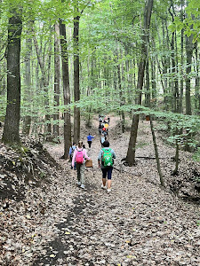 Diósjenő Forest Recreation Park — fotografia 4