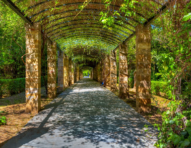 Athens National Garden — fotografia 3