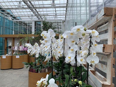 Ocean Orchids trgovina in storitve d.o.o. — fotografia 5