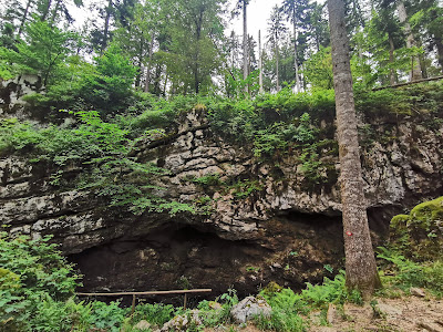 Forest Park Golubinjak — fotografia 5