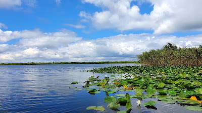 Lacul Pojarnia